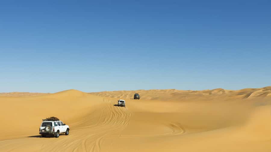 Doha: Desert Safari with Dune Bashing and Inland Sea - Who This Safari Fits Best (And Who Should Skip It)