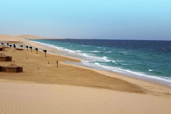 Doha: Desert Safari With Quad bike ,Camel Ride And Sand Boarding - A Short, High-Impact Desert Day from Doha