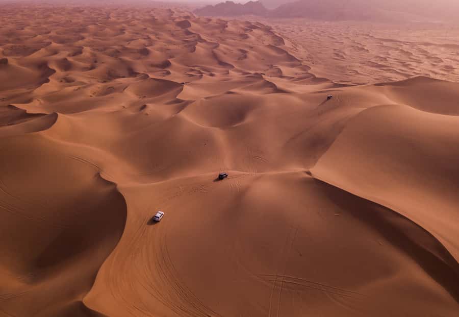 Doha: Desert Safari with Quad Bike, Sandboard & Camel Ride - Dune Bashing in a 4WD Toyota: Hold On, Then Enjoy It
