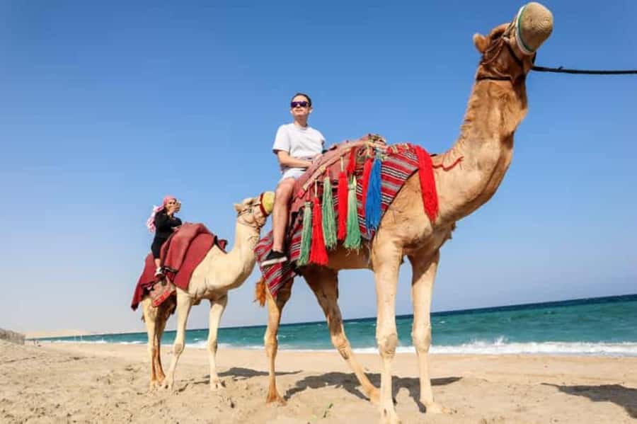Doha: DesertSafari with Quad Bike, Camel Ride & Sandboarding - Sandboarding: the easiest way to turn sand into fun