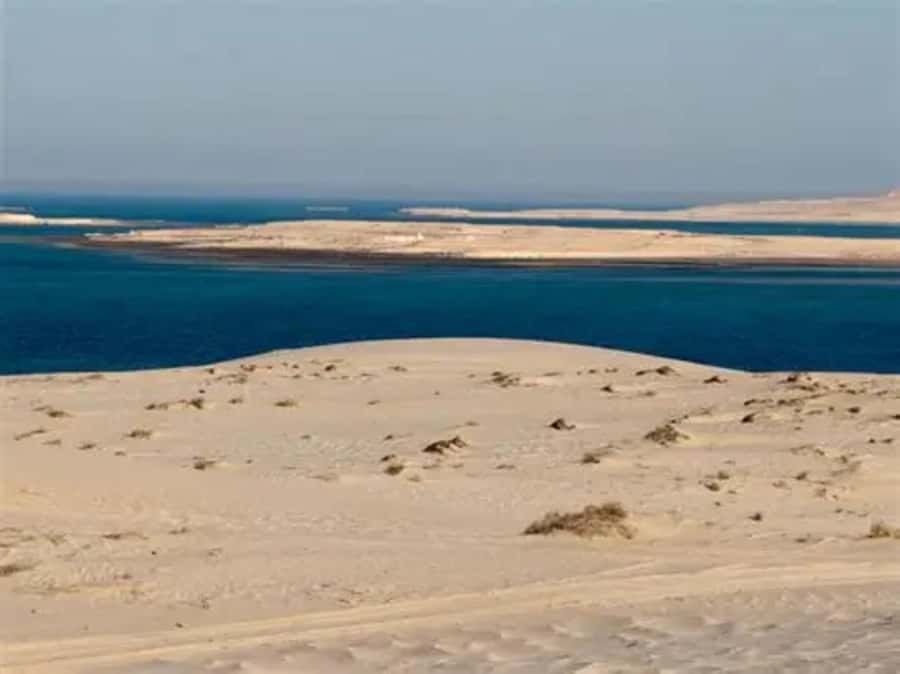 Doha: DesertSafari with Quad Bike, Camel Ride & Sandboarding - The Inland Sea at Khor Al Adaid: the stop that makes it feel special