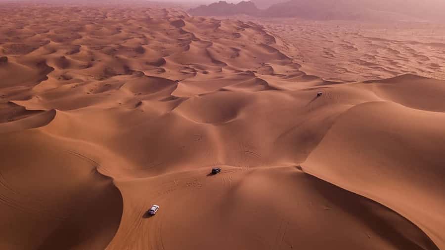 Doha: Dune Bashing Safari, Falcon, Camel, ATV, Sandboarding - A 4-hour Doha desert safari that fits a quick Doha stay