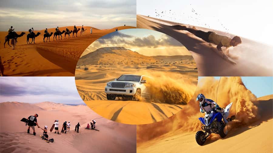 Doha: Dune Bashing Safari, Falcon, Camel, ATV, Sandboarding - Sealine Bedouin stop: falcons, short camel rides, and tea