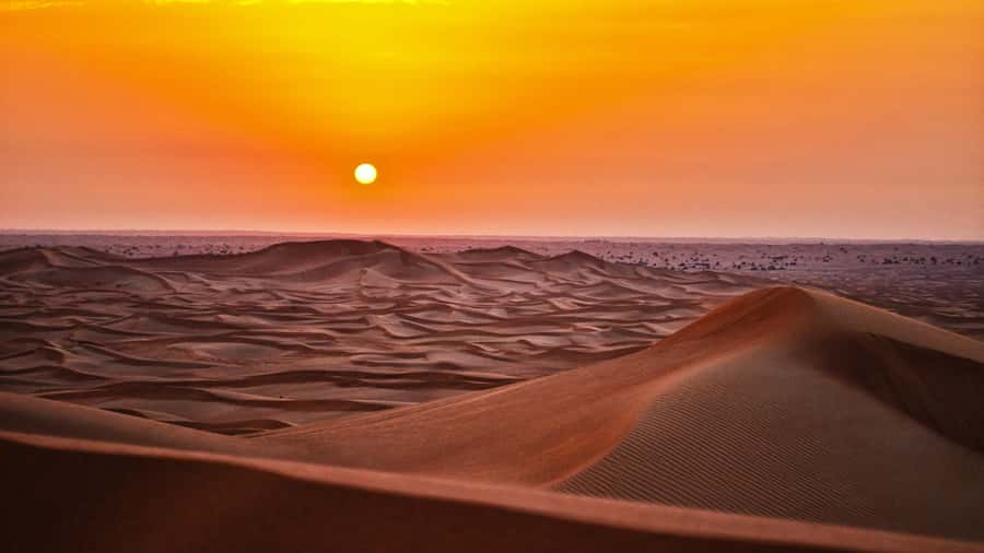 Doha: Dune Bashing Safari, Falcon, Camel, ATV, Sandboarding - Getting to Sealine: air-conditioned 4x4 and tire deflation