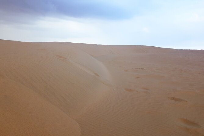 Doha: Escape to Eternity, Relaxing Desert Wonders with Camel Ride - Mesaieed camel ride and Bedouin camp time: the heart of the experience