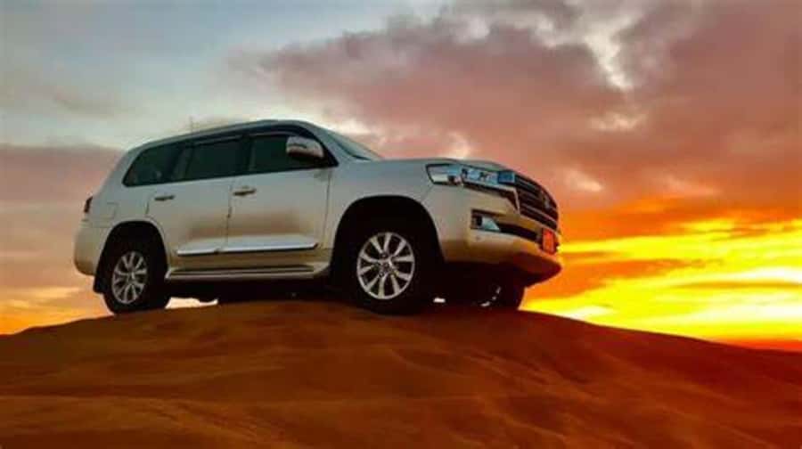 Doha: Full-Day Desert Safari, Dune Bashing & BBQ Dinner - From Doha to Sealine: Why the Timing Works
