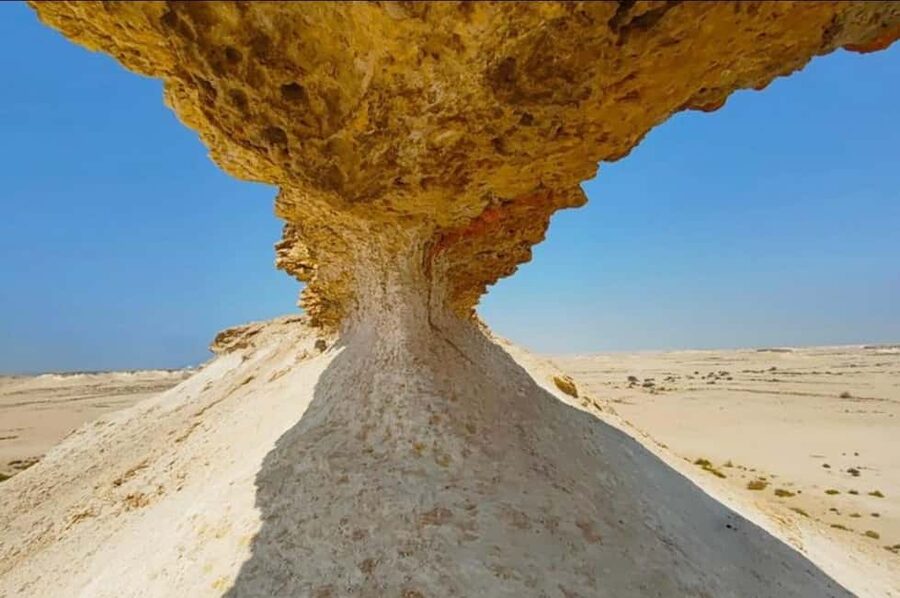 Doha: Full-Day North and West Tour with Forts and Qatari - Why Qatar’s North and West Feels Different From Doha