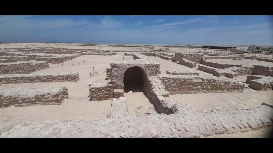 Doha: Full-Day North and West Tour with Forts and Qatari - Zubara Fort, Qatar’s First UNESCO World Heritage Stop
