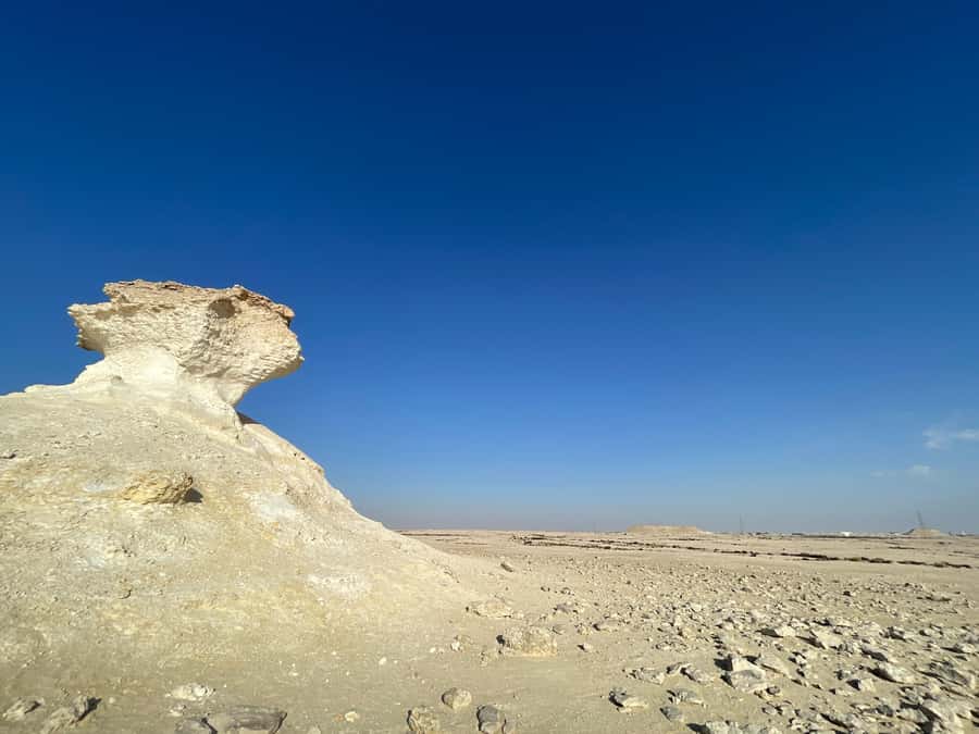 Doha Full Day North & West Tour | Rich History & culture - Al Zubara Fort (UNESCO): Where the Story Lands With Archaeology