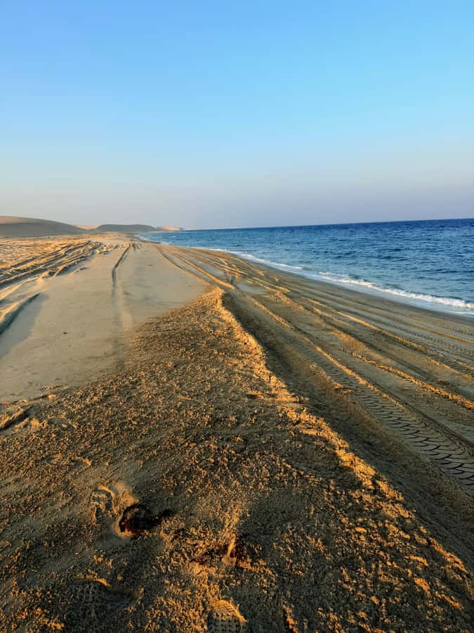 Doha: Guided Desert Safari Tour with Pickup & Drop Service - Mesaieed and the dessert-sunset stretch: second wind and more off-road fun