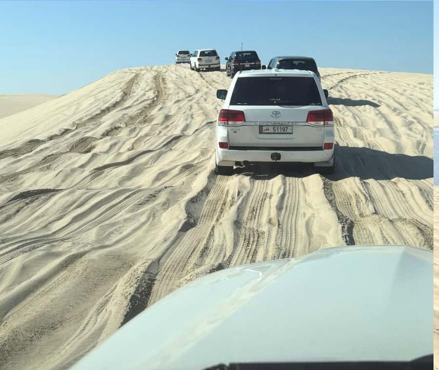 Doha: Guided Desert Safari Tour with Pickup & Drop Service - Service style: guides, small groups, and how the day feels
