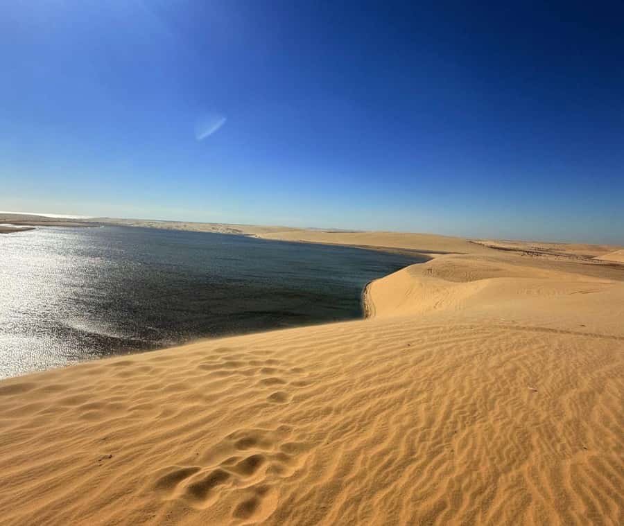 Doha: Guided Desert Safari Tour with Pickup & Drop Service - Practical tips: what to bring, what to avoid, and how to stay comfortable