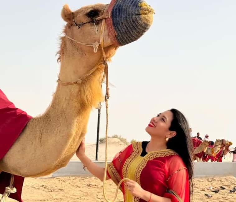 Doha: Half Day Desert Safari, Camel Ride , Sandboarding - Camel Ride in the Private Option: Small, Worthy, and Easy