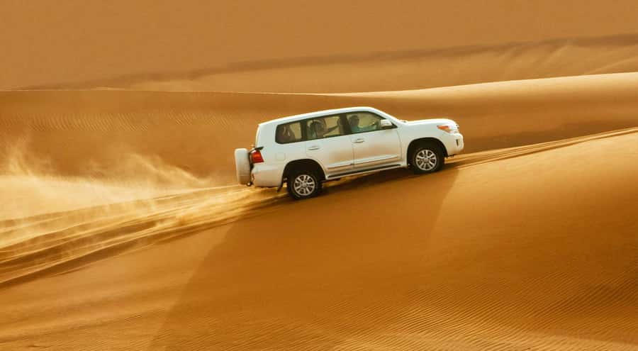 Doha: Half Day Desert Safari, Dune Bashing, Camel Ride - Booking tips: meeting point clarity saves stress