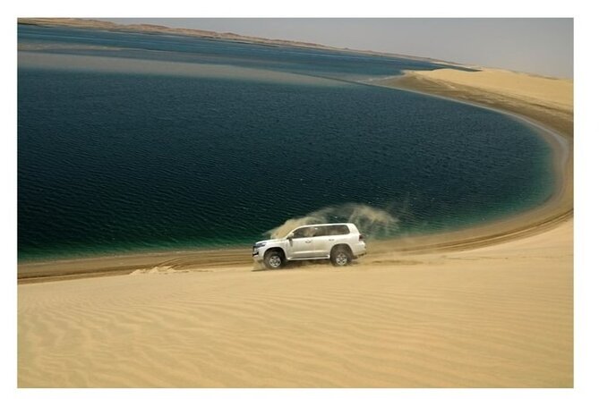 Doha Half Day Desert Safari Dune Bashing CamelRide & Sandboarding - Should You Book the Doha Half-Day Desert Safari?