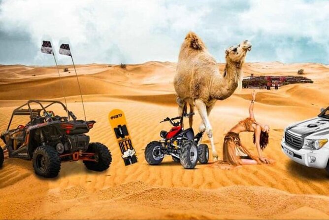 Doha: Half Day Desert Safari with Camel Ride and Inland Sea Tour - What makes this safari feel worth the money