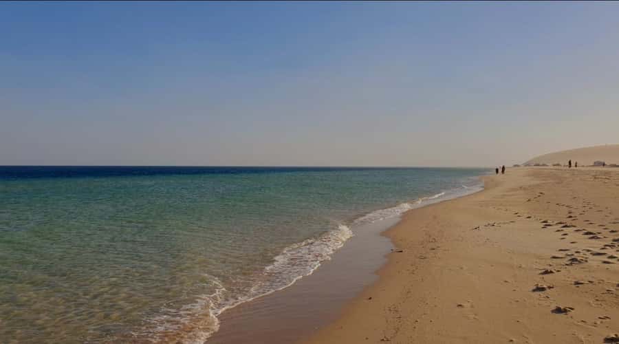 Doha: Half Day Desert Safari With Camel Ride & Sand Boarding - What to bring so the trip feels easy