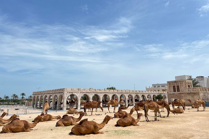 Doha Highlights Guided Tour With Dhow Cruise - Corniche and the dhow cruise: why the skyline feels closer from the water