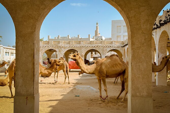 Doha Highlights Private City Tour with Licensed Tour Guide - Stop 3: The Pearl-Qatar, Porto Arabia and Viva Bahriya in one hour