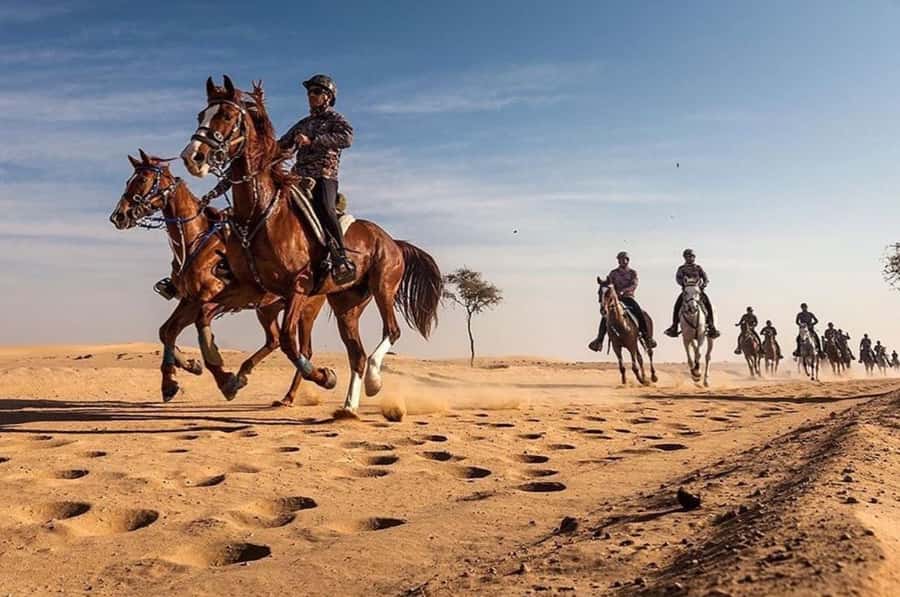 Doha : Horse Riding Tour With Transfer - Meeting Your Horse, Getting Matched, and Learning Fast