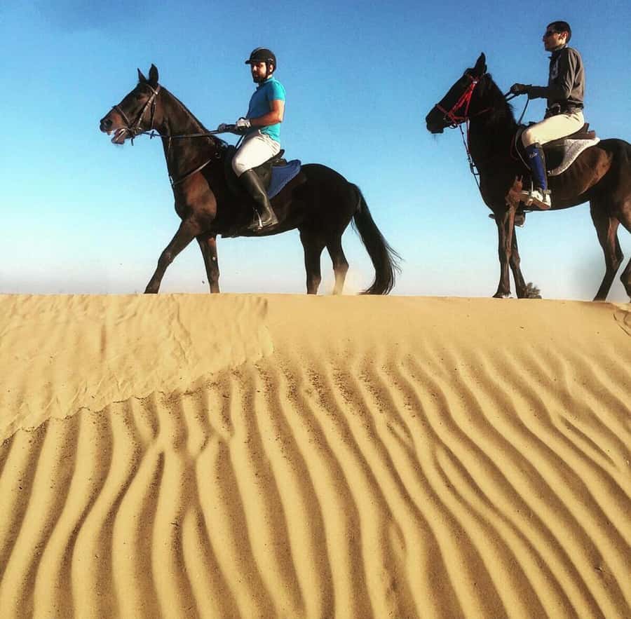 Doha : Horse Riding Tour With Transfer - What to Wear and Bring for Desert Horseback in Qatar