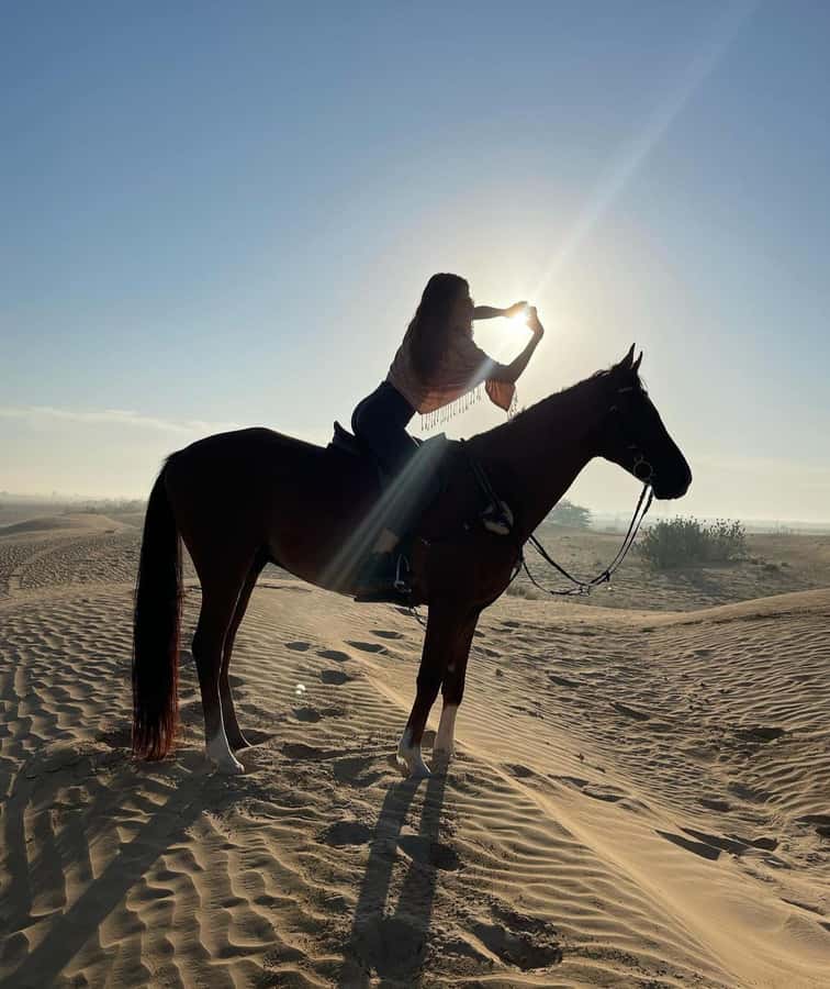 Doha : Horse Riding Tour With Transfer - Price and Value: Does $101 Make Sense for a 3-Hour Ride?