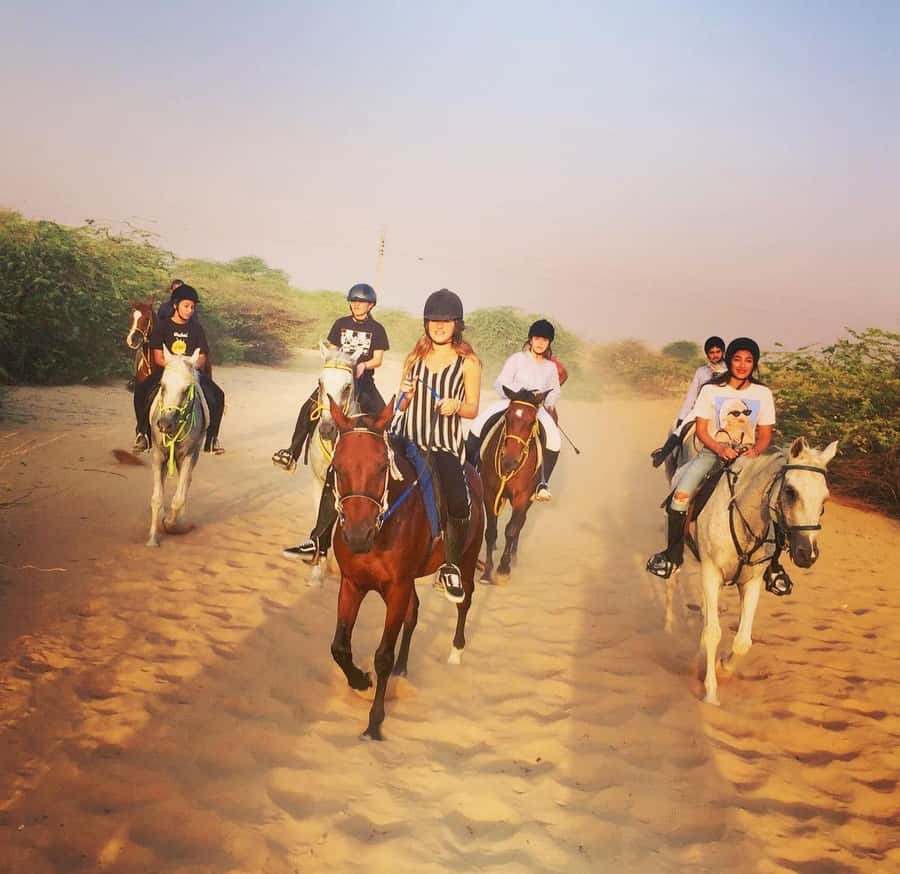 Doha : Horse Riding Tour With Transfer - Who Should Book This Desert Horse Riding Tour From Doha