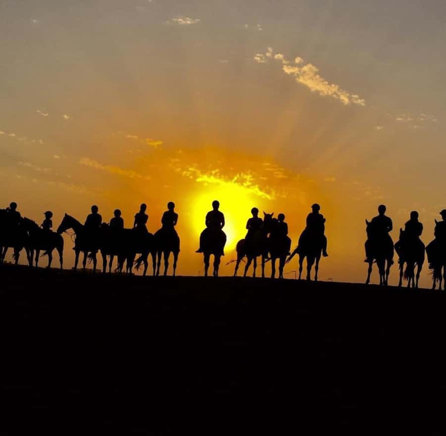 Doha : Horse Riding Tour With Transfer - Should You Book It? My Decision Shortcut