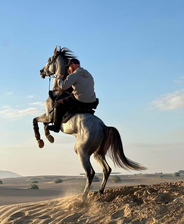 Doha : Horse Riding Tour With Transfer - Pickup, Transfer, and the Real Meaning of a 3-Hour Tour