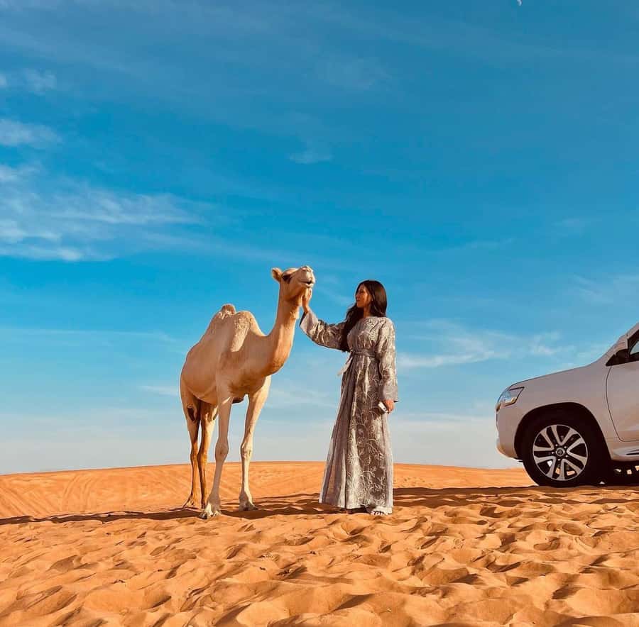 Doha: Inland Sea, Desert Safari, Camel Ride and Sandboarding - Dune Bashing With a Real Driver: Thrill, Control, and a Lot of Trust
