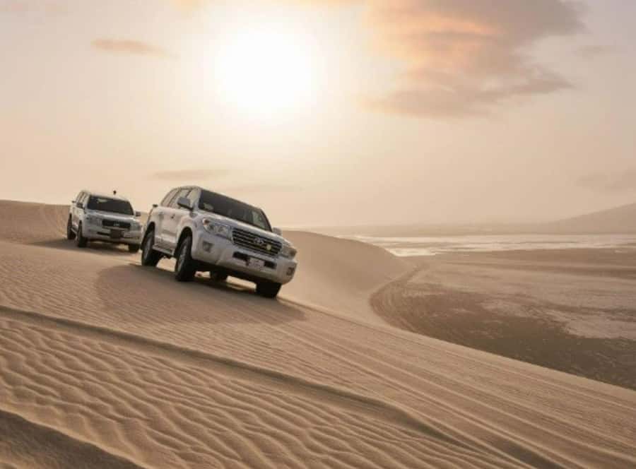 Doha : Inland Sea Desert Safari ,Camel Ride & Sandboarding - Camel Ride at Bedouin Pace: Calm, Photos, and Handler Guidance