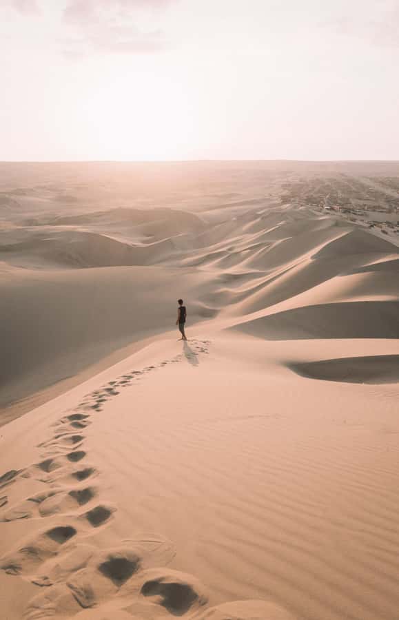 Doha : Inland Sea Desert Safari ,Camel Ride & Sandboarding - Sandboarding: Turning Downhill Gravity Into a Skill