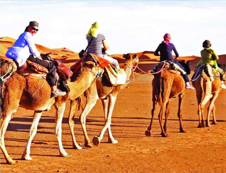 Doha: InlandSea Tour,Camel,Sand Boarding With All Activities - Sunset photography time: plan your camera moments
