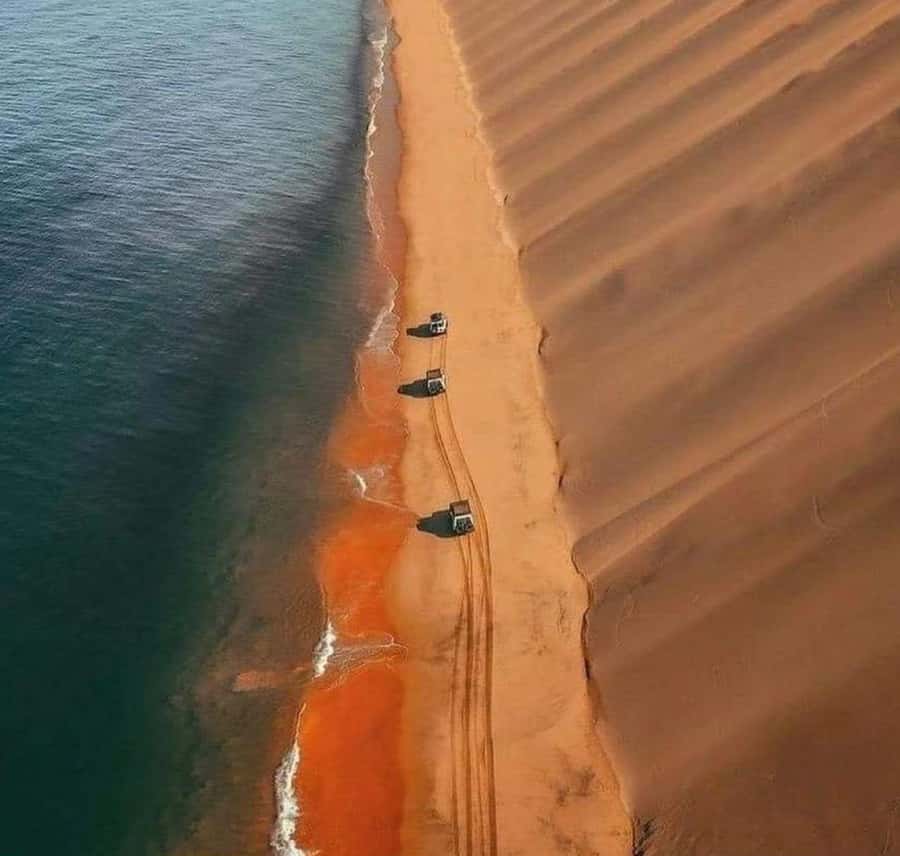 Doha: InlandSea Tour,Camel,Sand Boarding With All Activities - Group size, cars, and comfort basics