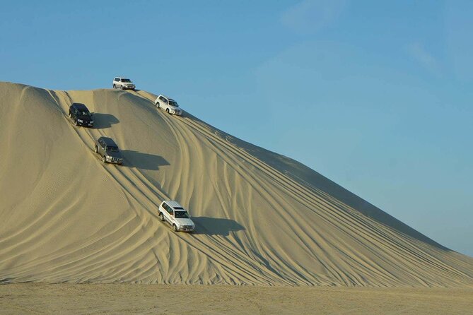 Doha Layover Desert Safari, Camel Ride, Sand Boarding, Inland Sea - Sand boarding, thrill-level expectations, and how to prep
