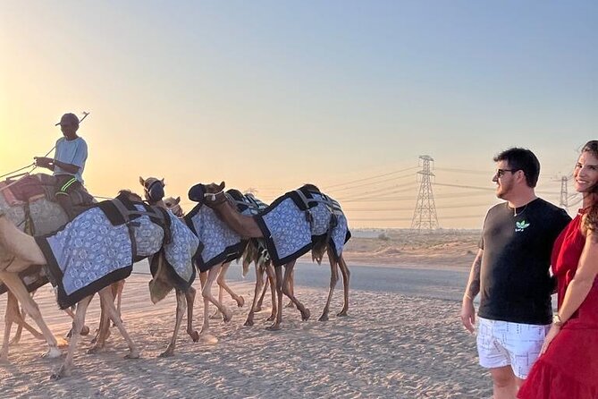 Doha Layover or Doha Stopover Tour with Desert & City Tour - Key highlights if you want the quick version