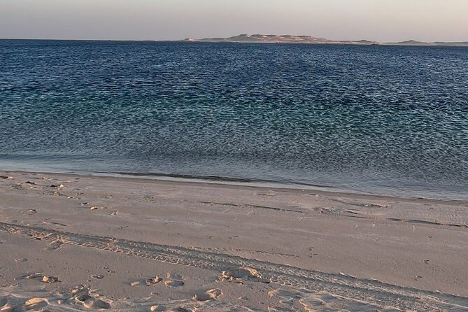Doha Layover or Doha Stopover Tour with Desert & City Tour - How to Turn a Doha Layover into a Real Day