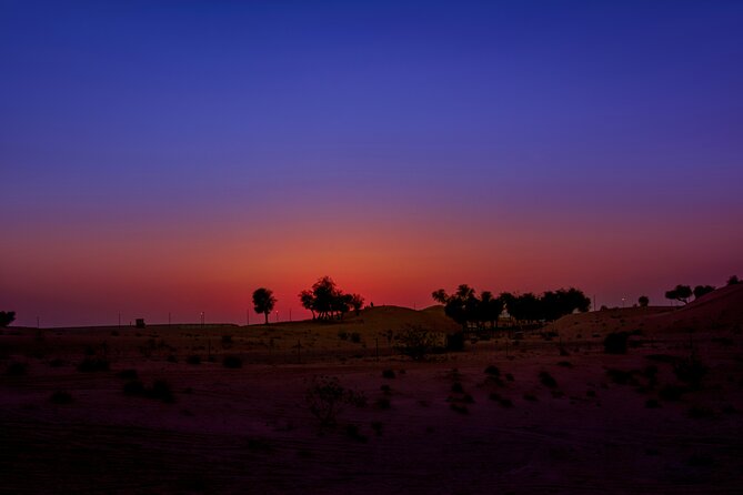 Doha Night Desert Safari Adventure - Dune bashing and sand boarding: adrenaline with built-in scenic stops