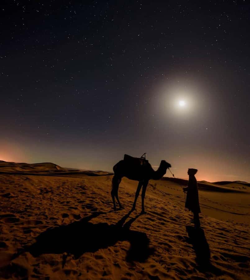 Doha Night Desert Safari Stargazing And Camel Ride - Inland Sea stop: photos, coffee or tea, and water time