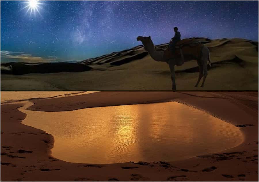 Doha Night Desert Safari Stargazing And Camel Ride - Price and value: $24 for a full night loop