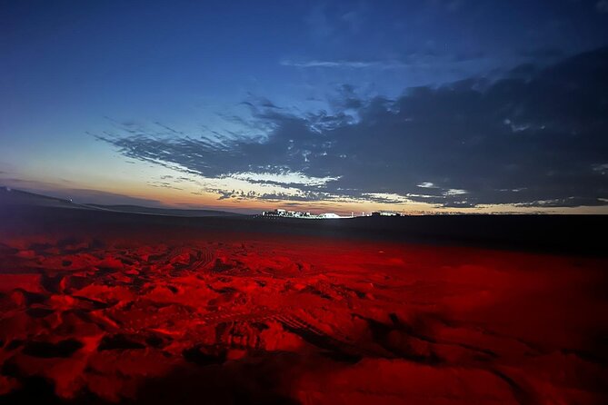 Doha Night Desert Safari Stargazing Camel Ride and Dune Bashing - Why this 4-hour Doha night safari feels like a smart buy