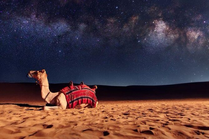 Doha Night Desert Safari Stargazing Camel Ride and Dune Bashing - Stop 1: Doha departure time, where the trip actually starts