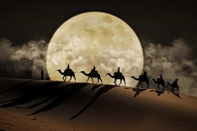 Doha Night Desert Safari Stargazing Dune Drive Camel Ride - A short Doha desert hit, done right at night