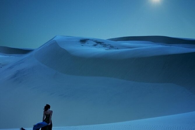 Doha Night Desert Safari Stargazing Dune Drive Camel Ride - Dune bashing and 4WD rides: the thrill part, with real physical considerations