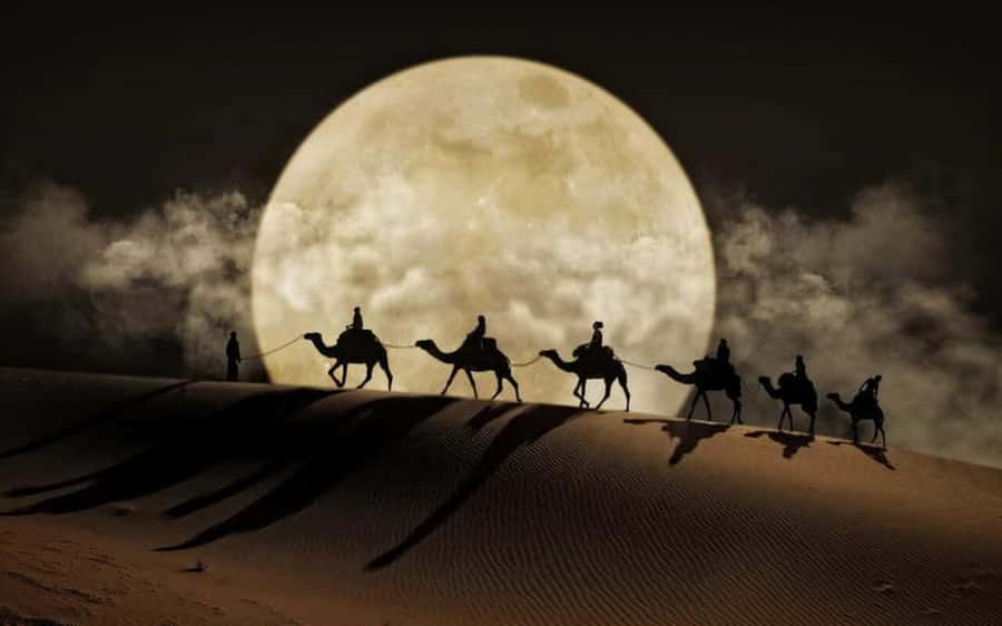 Doha: Night Desert Safari, Stargazing, Dune Driving &Inland - Key highlights you will actually feel