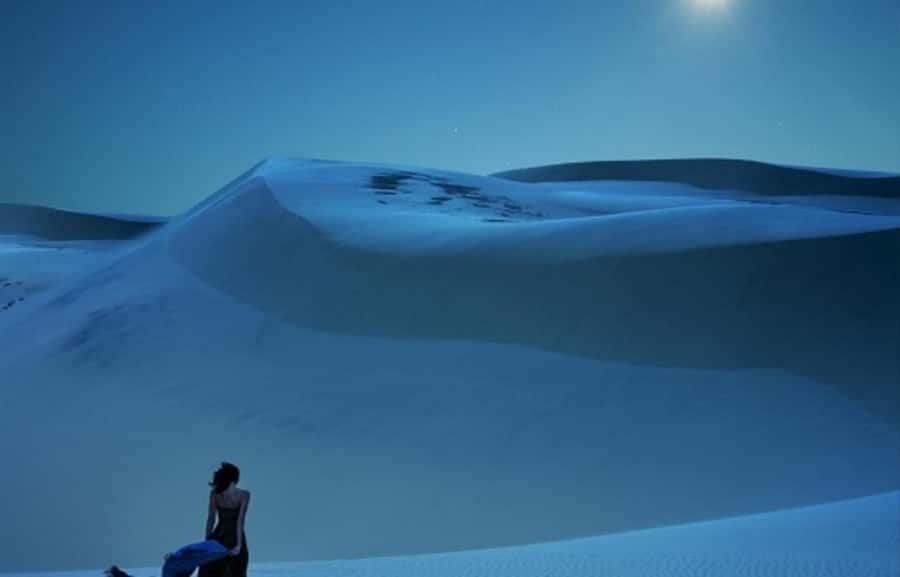 Doha: Night Desert Safari, Stargazing, Dune Driving &Inland - What you get for around $59, and how to judge the value