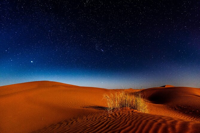 Doha Night Desert Safari, Stargazing, Photography، Relaxation - Who This Doha Night Safari Suits Best