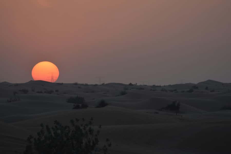 Doha: Night Desert Safari with Camel Ride and Sandboarding - Key things to know before you go