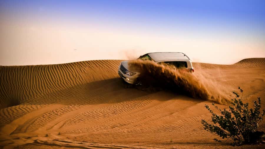 Doha: Night Desert Safari with Camel Ride and Sandboarding - Why a 4-hour Doha night safari feels different