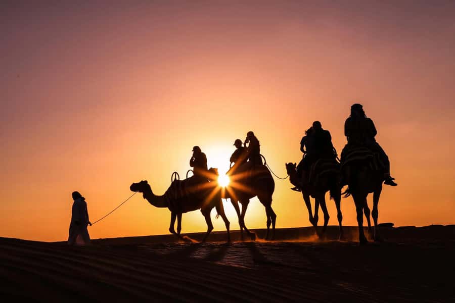 Doha: Night Desert Safari with Camel Ride and Sandboarding - Camel ride at the dunes: slow, traditional, and actually photogenic